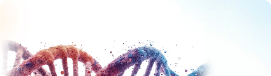 Better care delivery. Automated clinical workflows. Stronger patient engagement. Secure AI solutions that put your healthcare data to work.